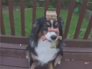 堂姐结婚我要去吗，堂姐结婚我没成家用随礼吗