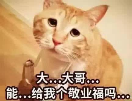 刚结婚两人光吵架，结婚后三天两头吵架