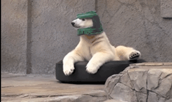 绿头盔的笑话，绿头盔表情暗示出轨