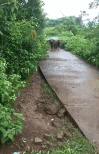 gif搞笑动图大全，超搞笑动态图 逗比