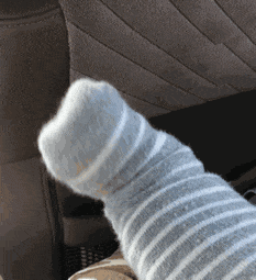 好饿的毛毛虫绘本ppt，毛毛虫论文写作