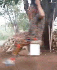 大妈 搞笑，大妈搞笑表情