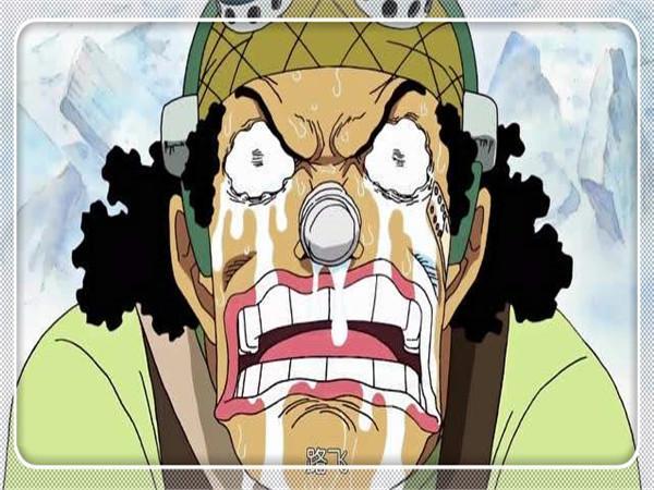 海贼王后期乌索普去哪了，海贼王乌索普真实身份