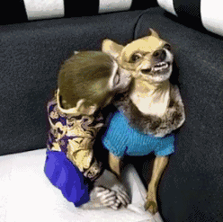 如何跟女朋友相处才是正确的相处方式，给女朋友种草莓的技巧和正确方式