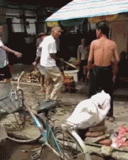 久不见君终相见，久不见下一句