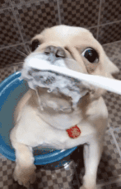 早睡早起的好处视频，早睡早起的内容