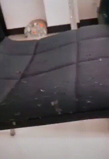 <br />
<b>Warning</b>:  array_search() expects parameter 2 to be array, boolean gi