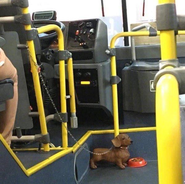 开心一刻图片，笑话段子开心一刻