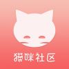 猫咪社区 猫咪社区
